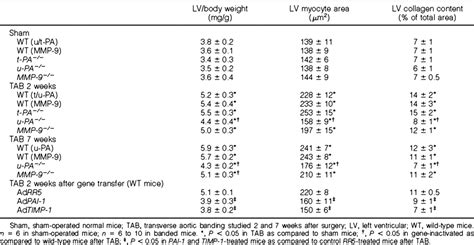 lv upa|Loss or Inhibition of uPA or MMP.